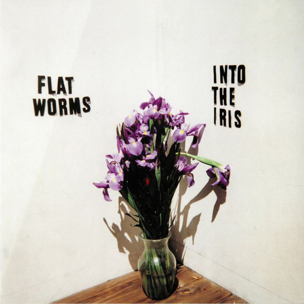 Flat Worms-cover