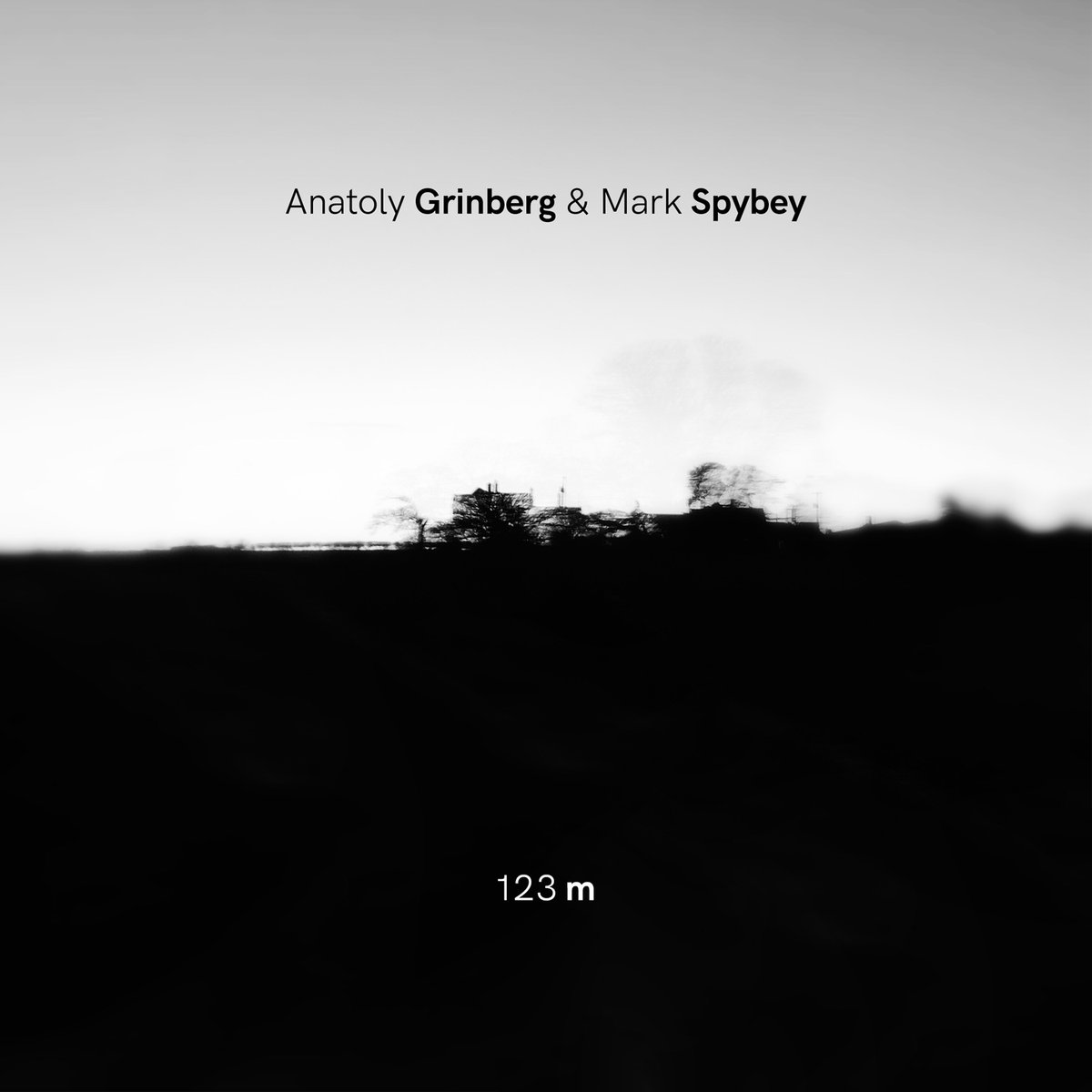 Anatoly Grinberg& Mark Spybey cover