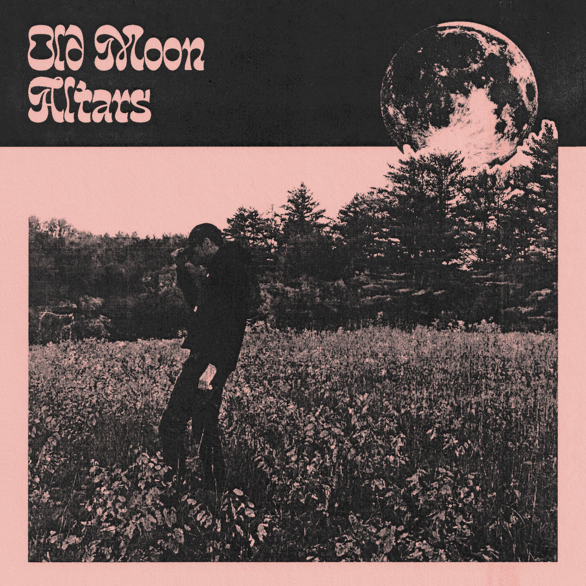 Old Moon cover