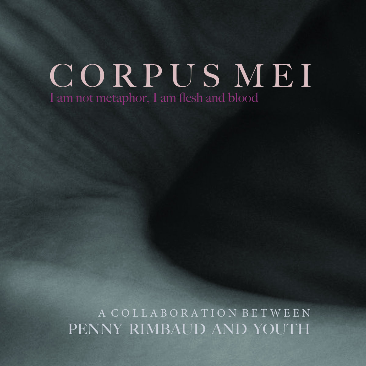 Penny Rimbaud and Youth cover