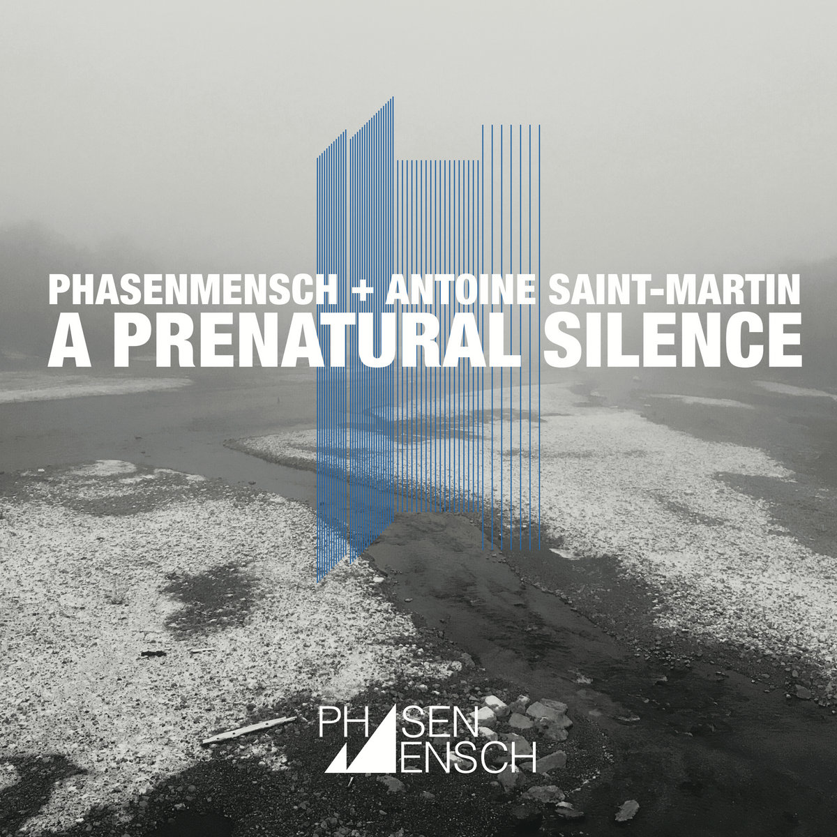 Phasenmensch cover