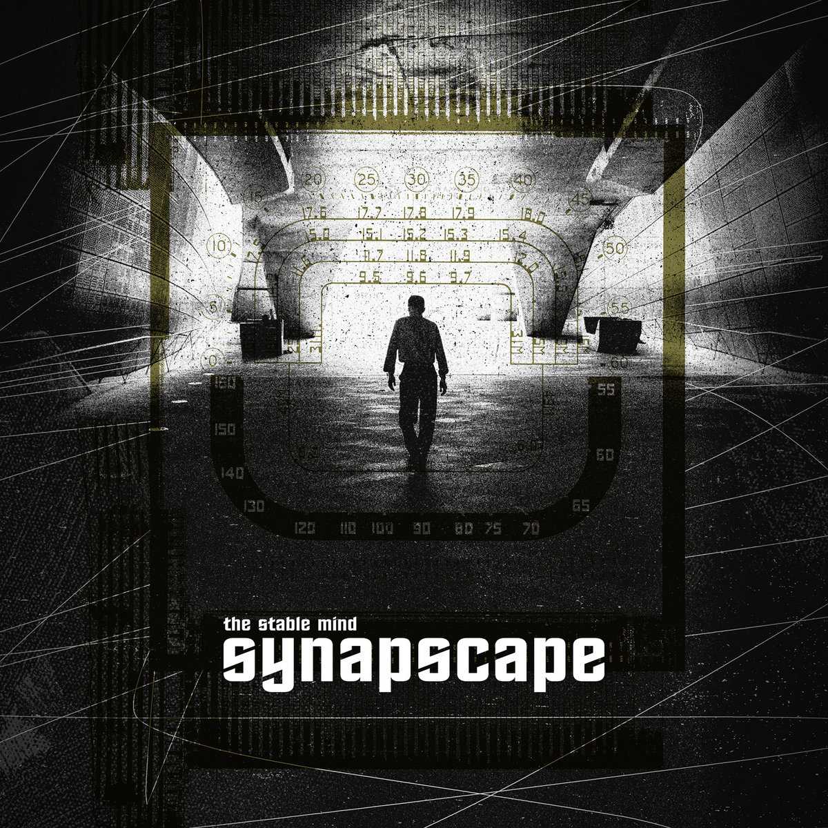 Synapscape cover