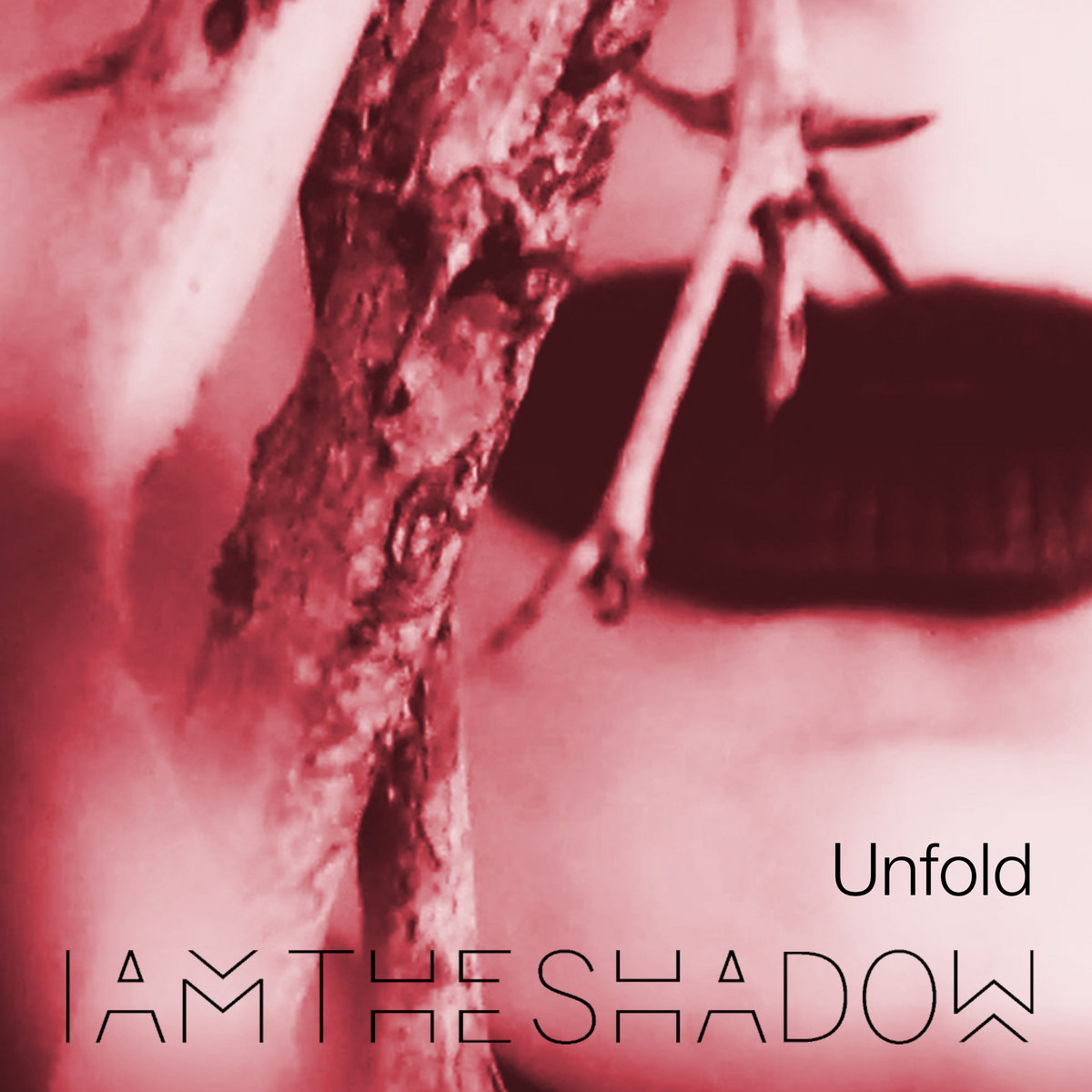 IAMTHESHADOW  cover