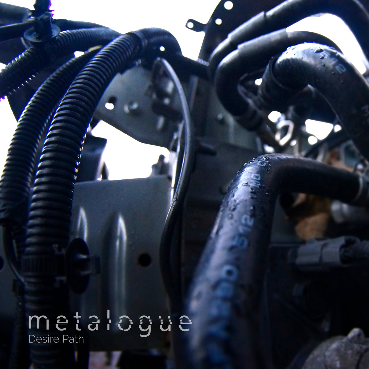 metalogue cover