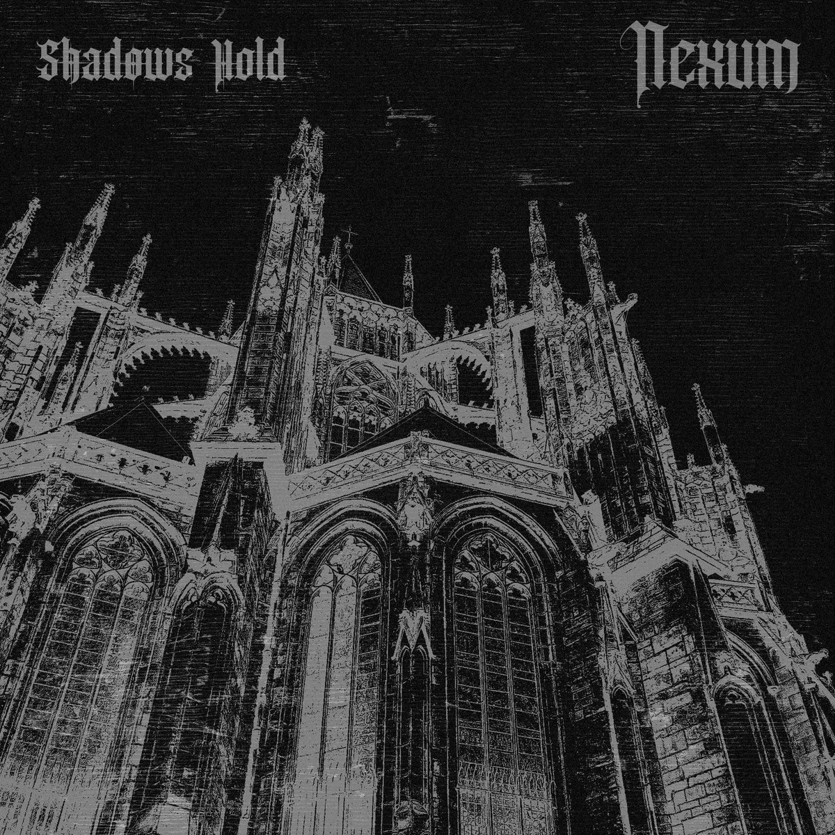Shadows Hold cover