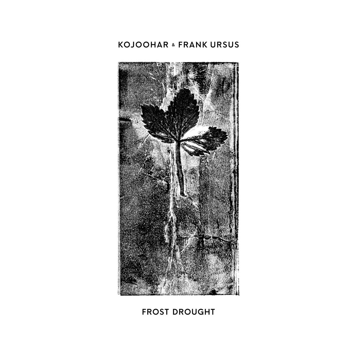 Kojoohar & Frank Ursus cover