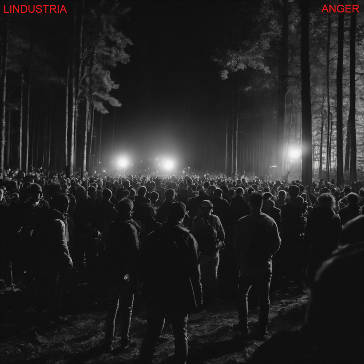 LINDUSTRIA cover