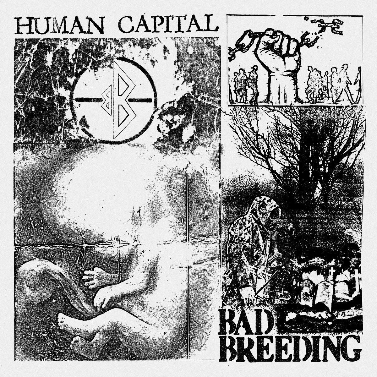 BAD BREEDING cover