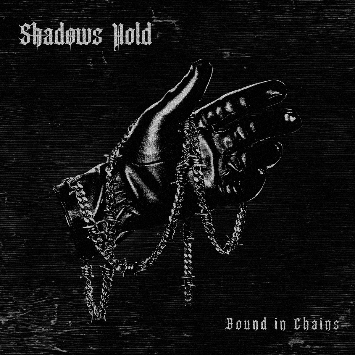 Shadows Hold cover