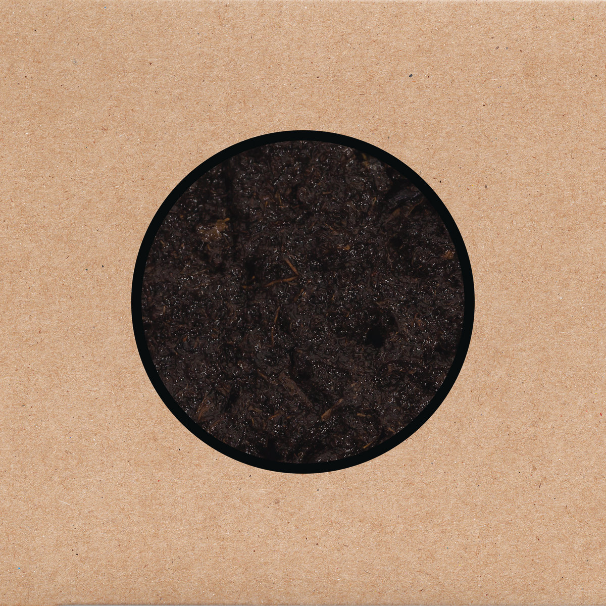 SWANS cover