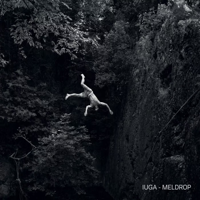 IUGA cover