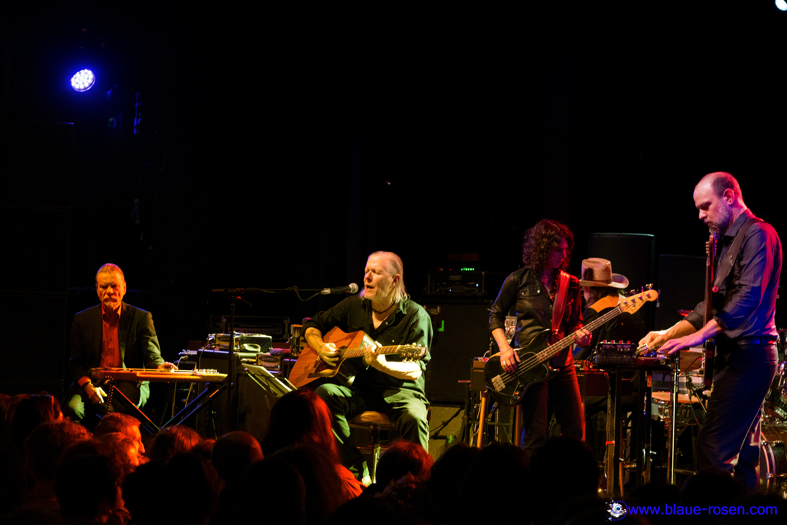 SWANS