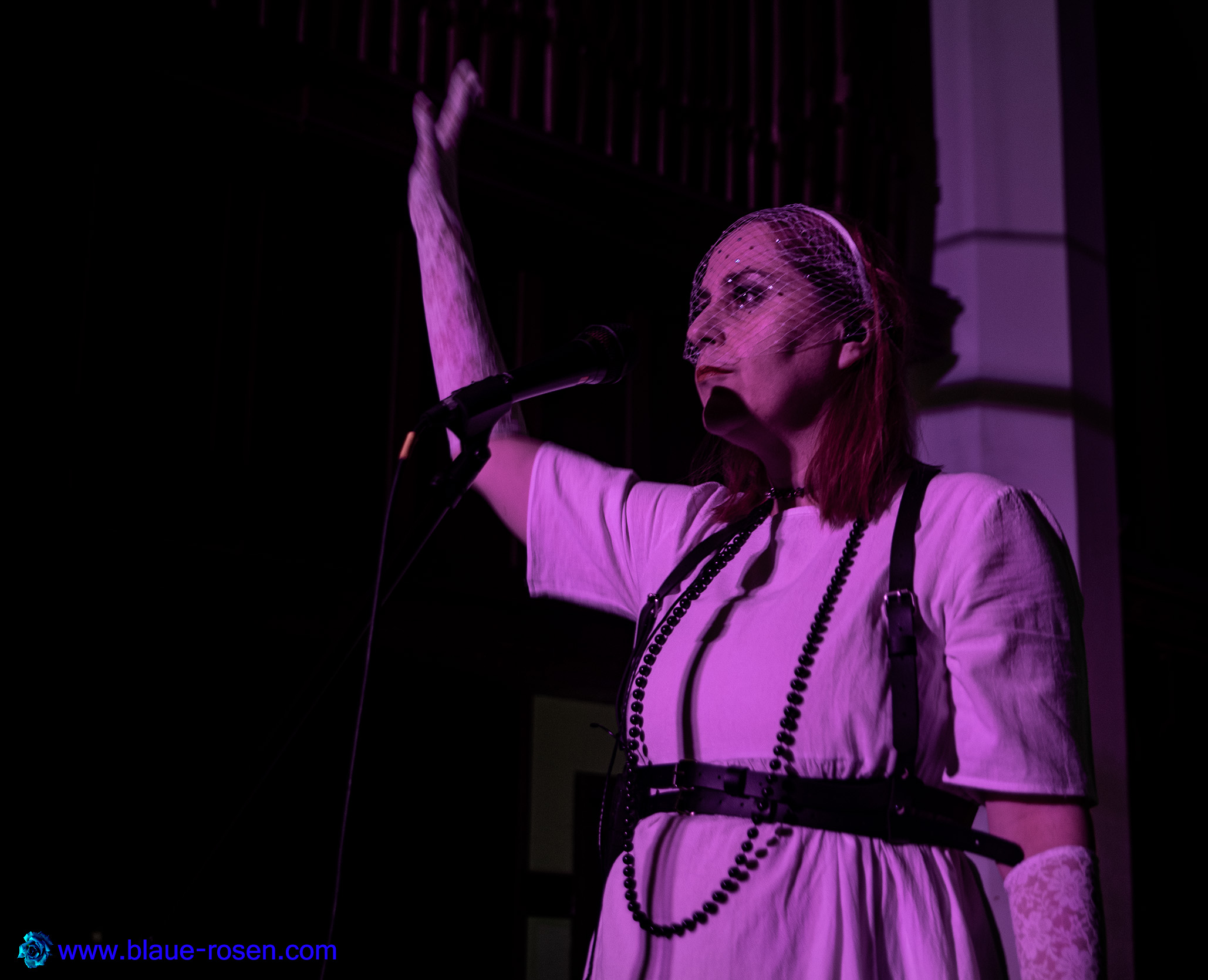 Riotmiloo live photo
