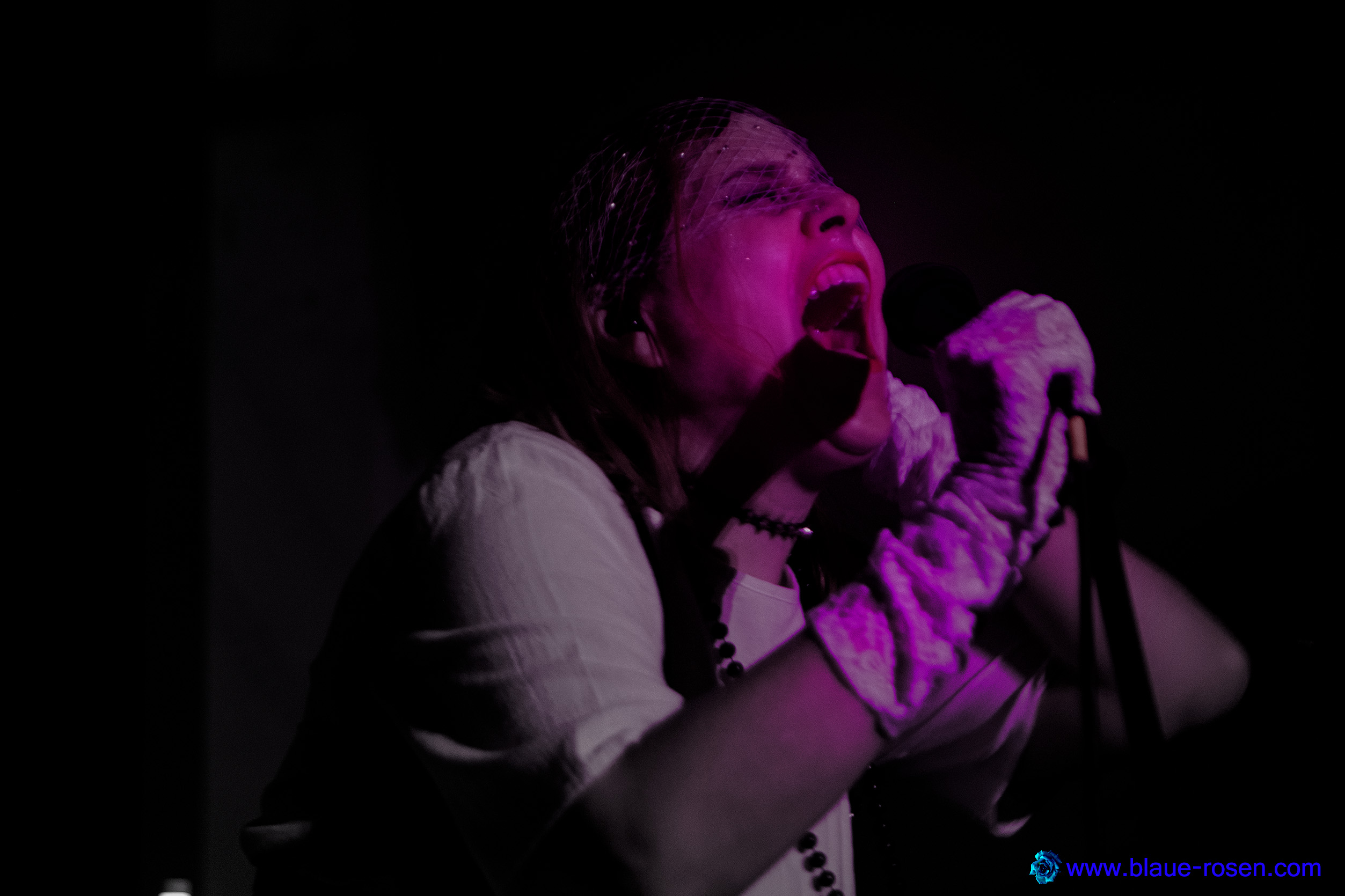Riotmiloo live photo