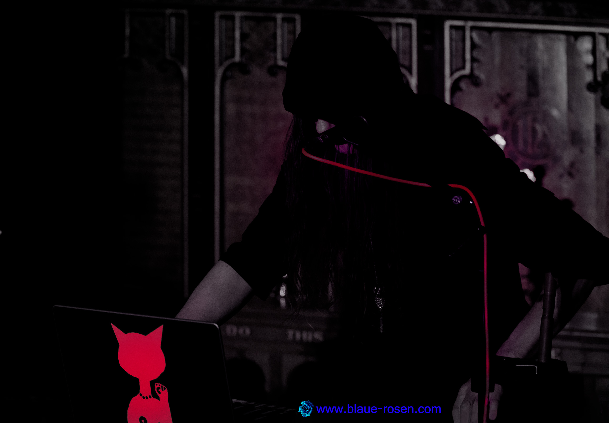 tAngerinecAt live photo