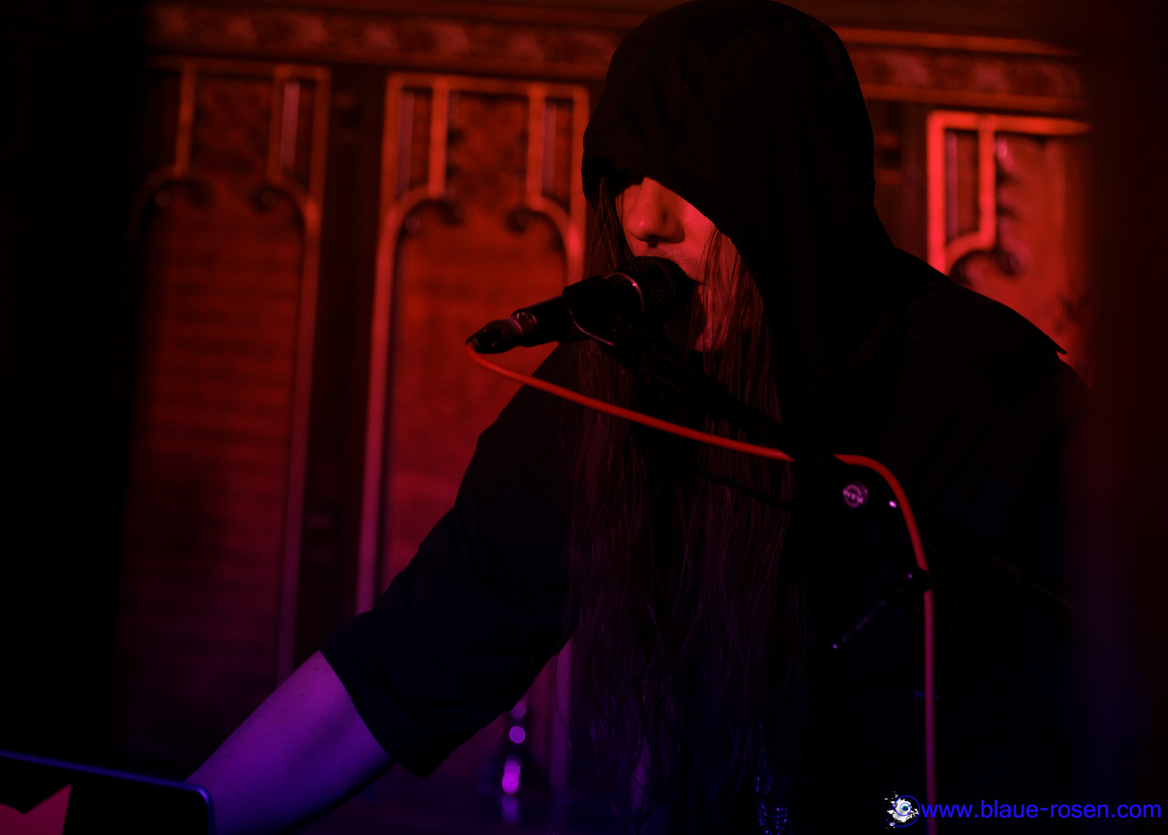 tAngerinecAt live photo