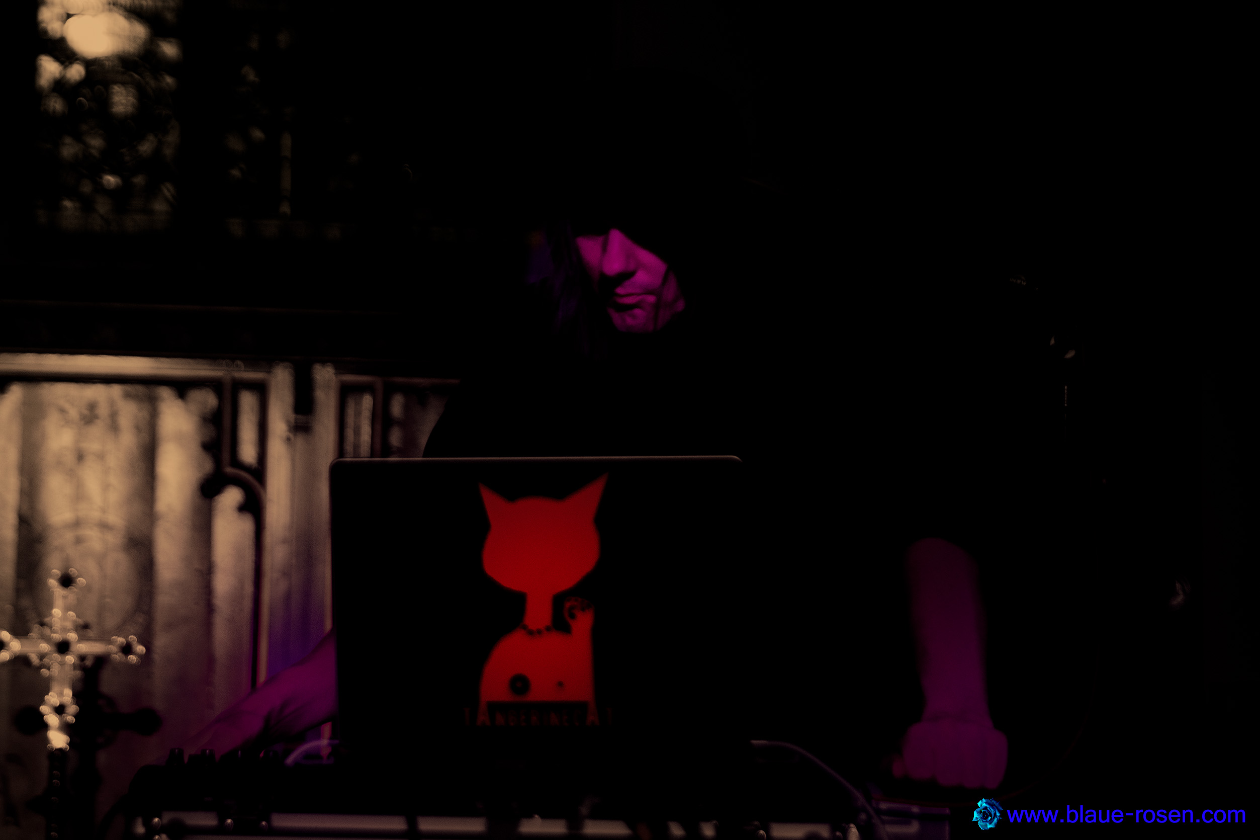tAngerinecAt live photo