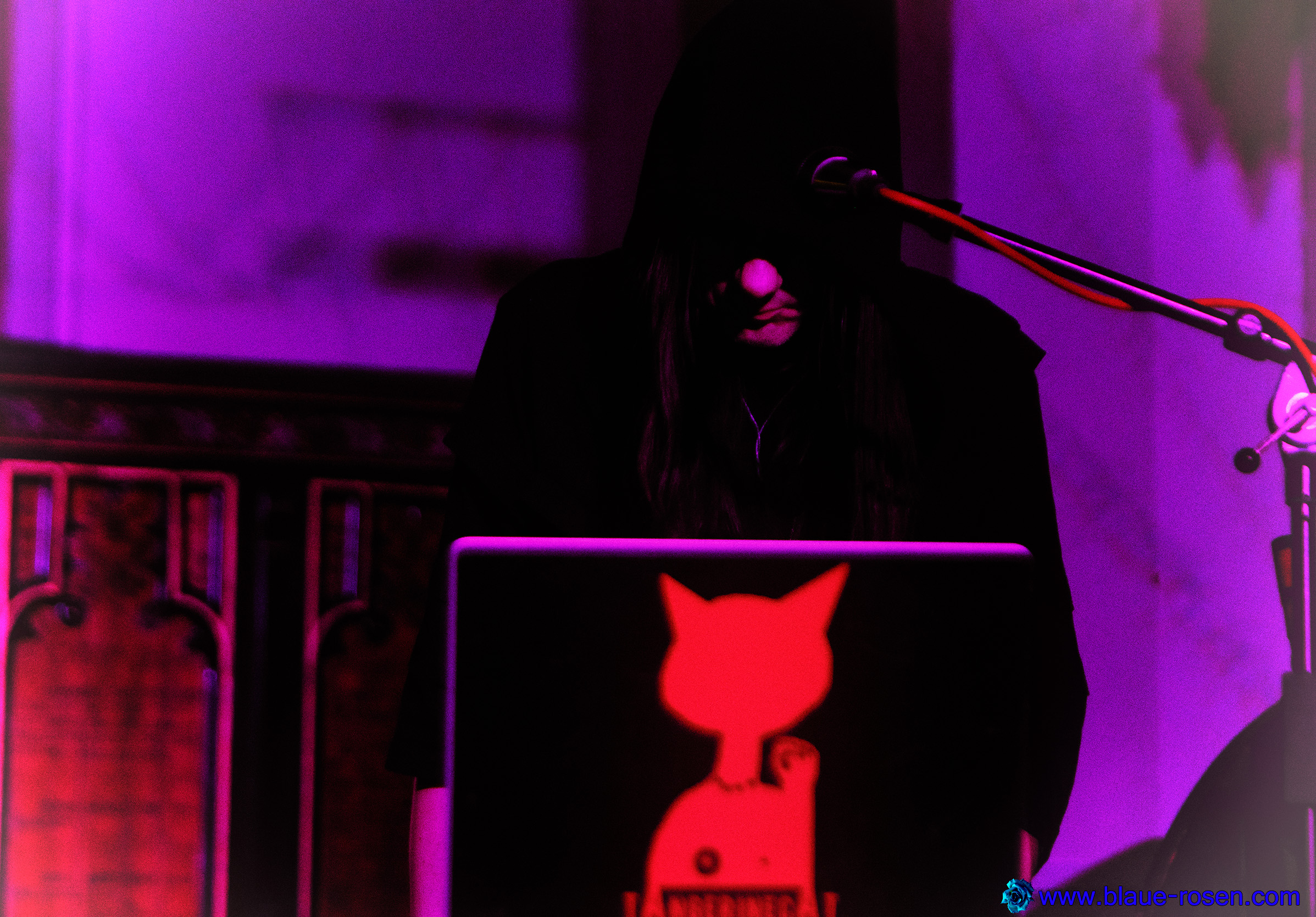tAngerinecAt live photo