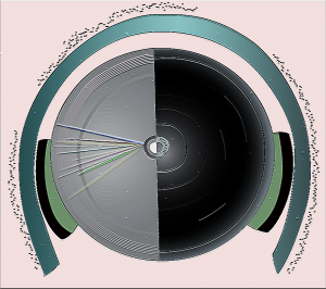 logo_section5b-01