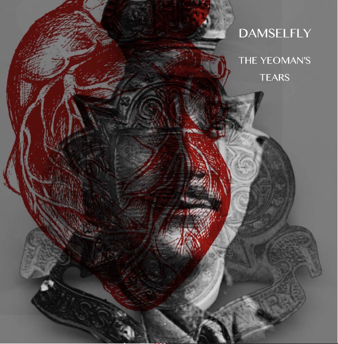 DAMSELFLY cover
