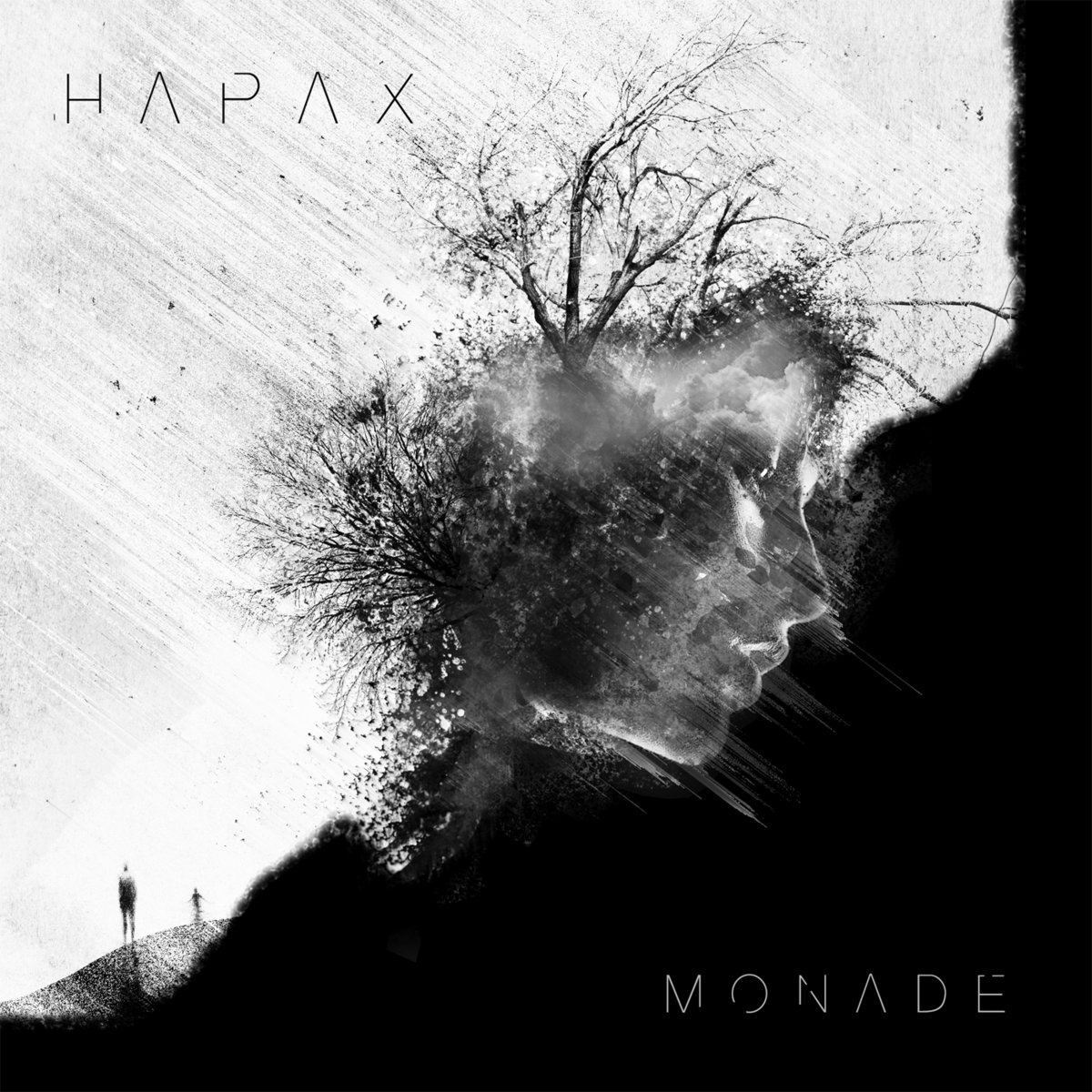 HAPAX_cover