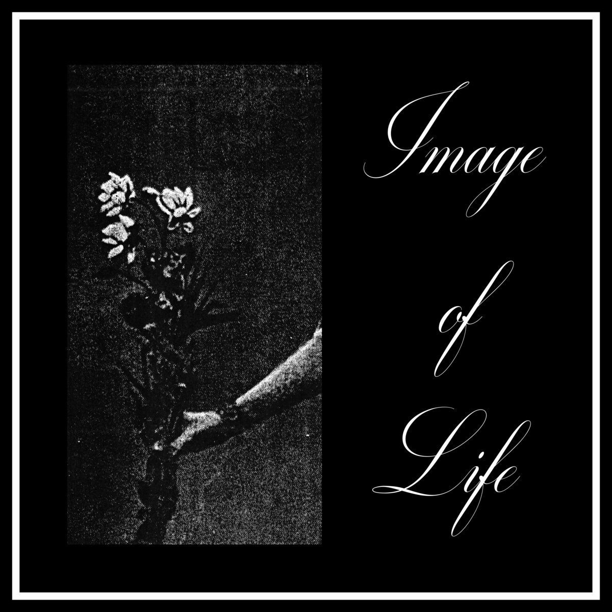 Image of Life cover