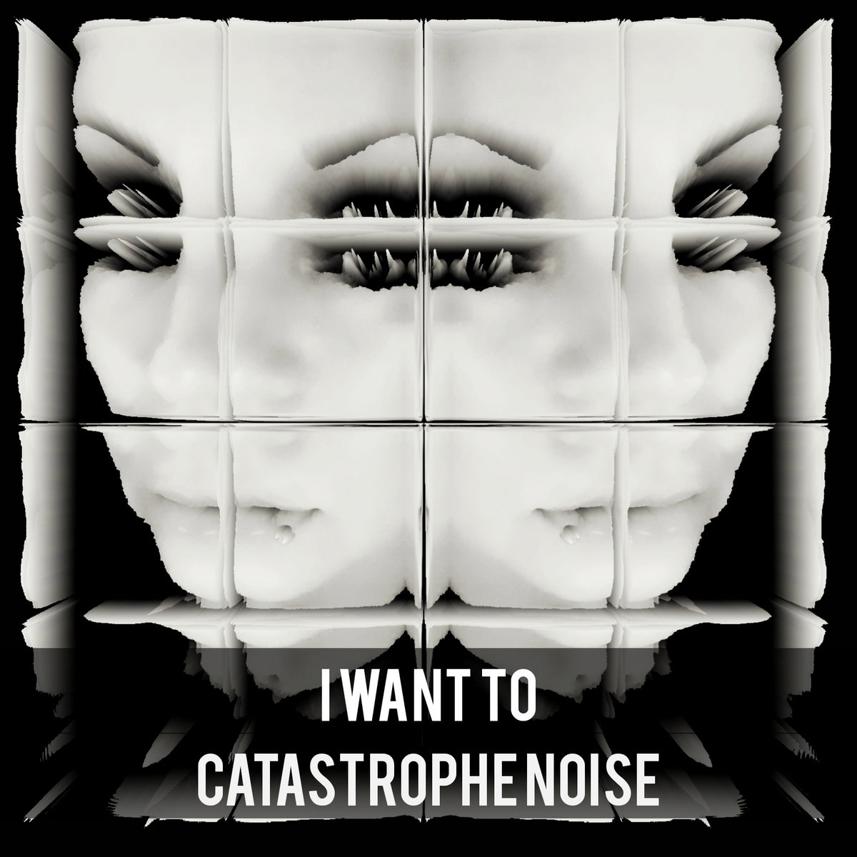 Catastrophe Noise cover
