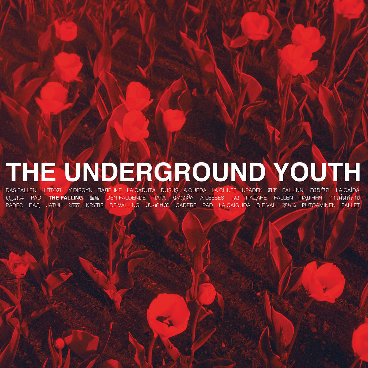 The Underground Youth cover