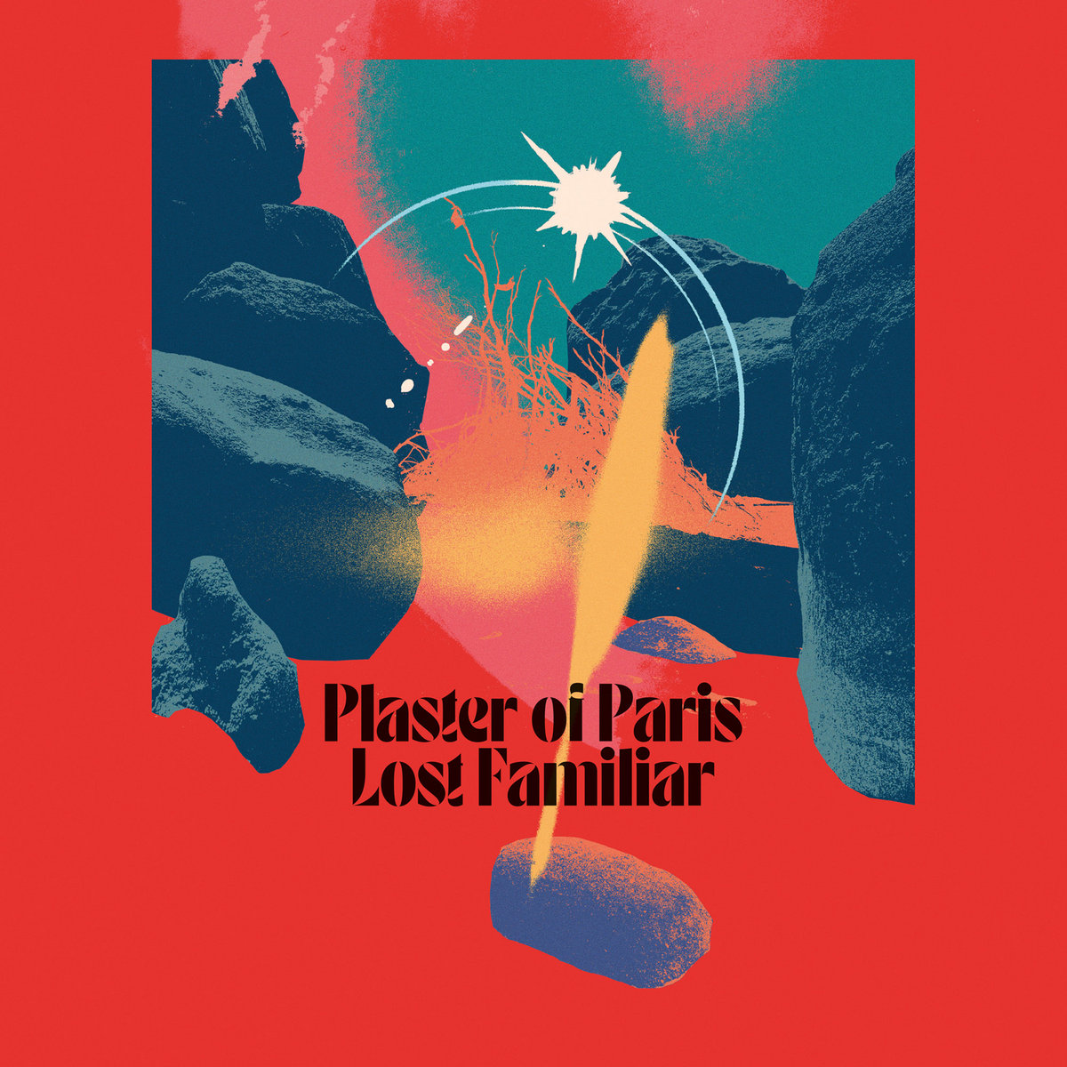 Plaster of Paris cover