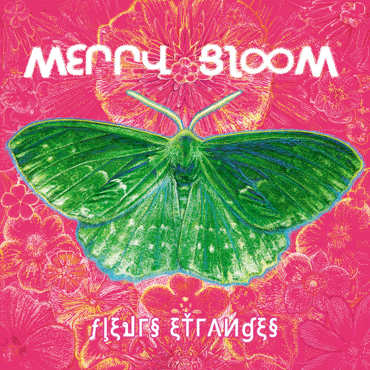 MERRY BLOOM  cover