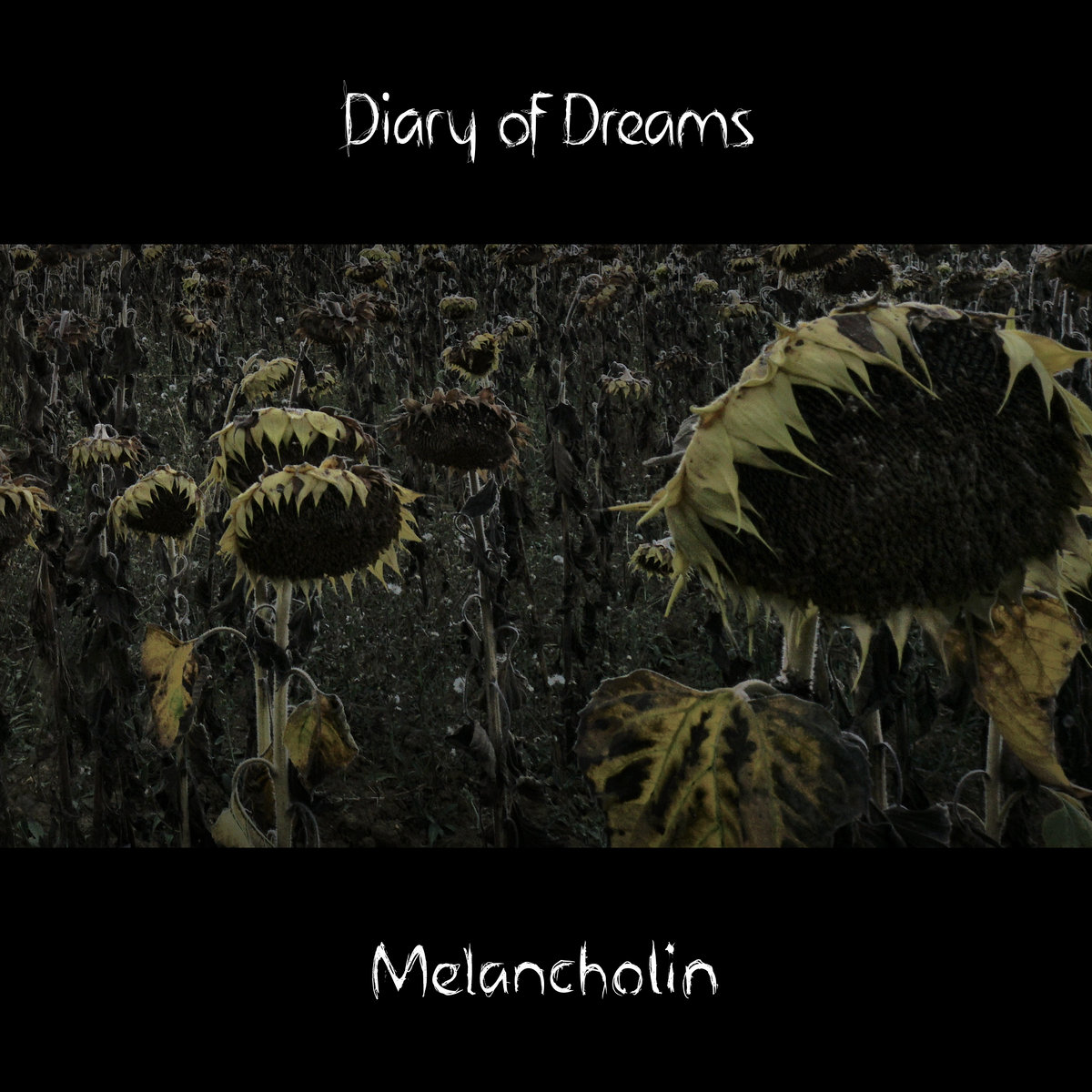 Diary of Dreams cover