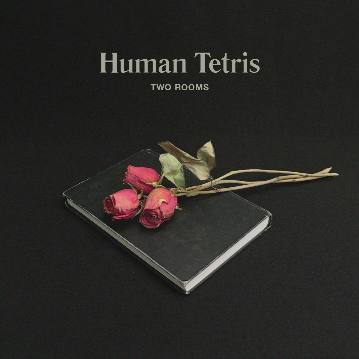 Human Tetris cover