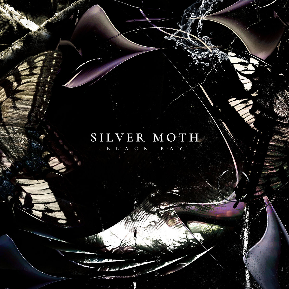 Silver Moth cover