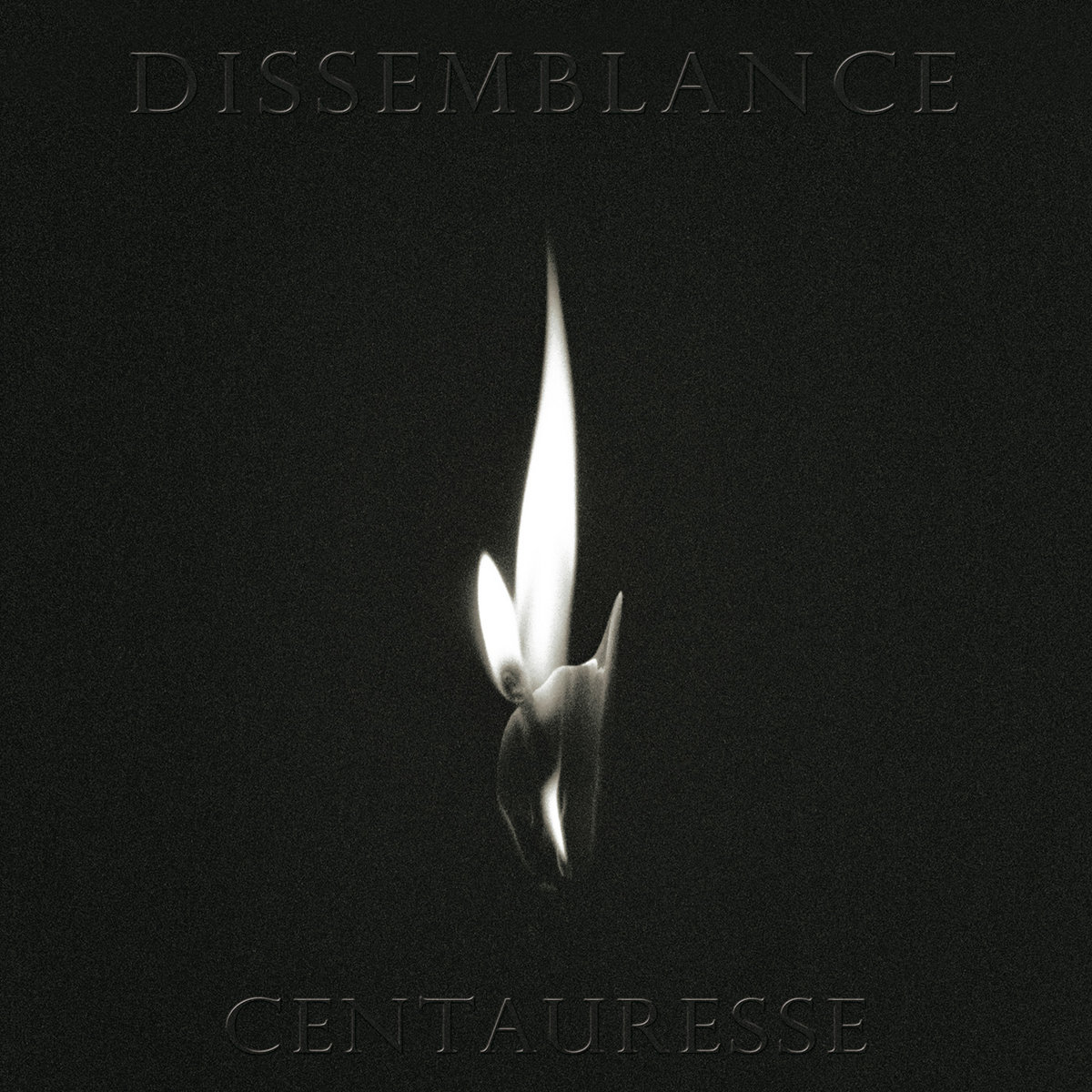 Dissemblance cover