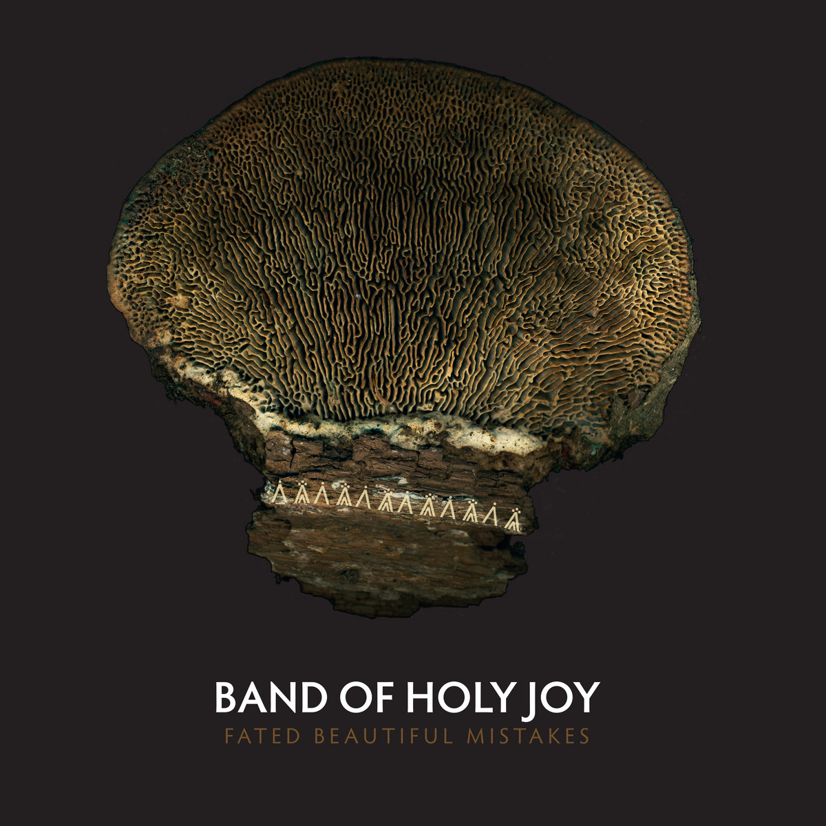 Band of Holy Joy cover