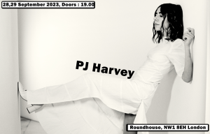 PJ Harvey poster