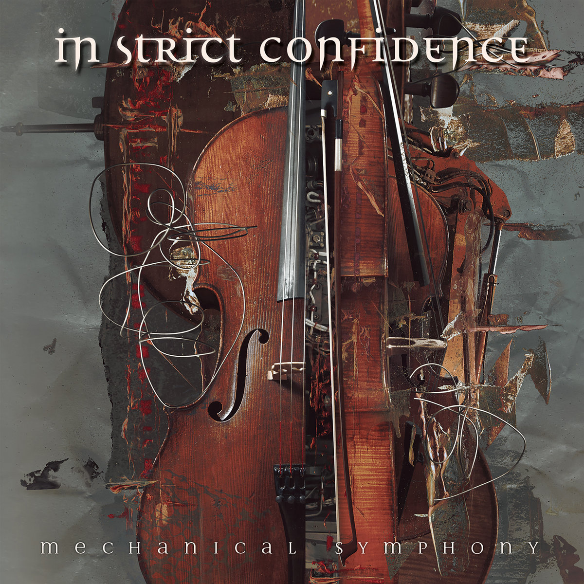 In Strict Confidence cover