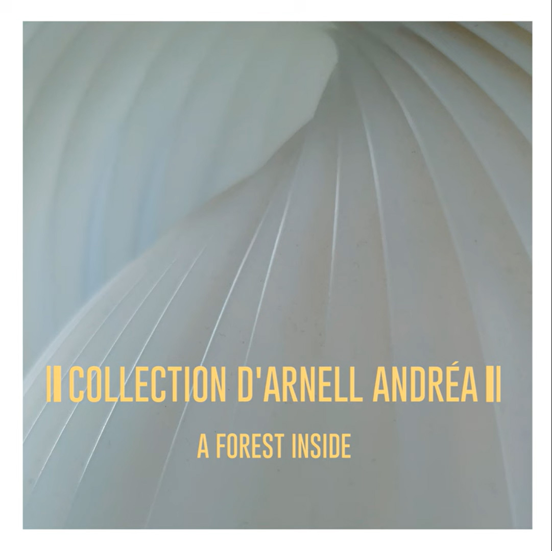 Collection d'Arnell Andrea cover