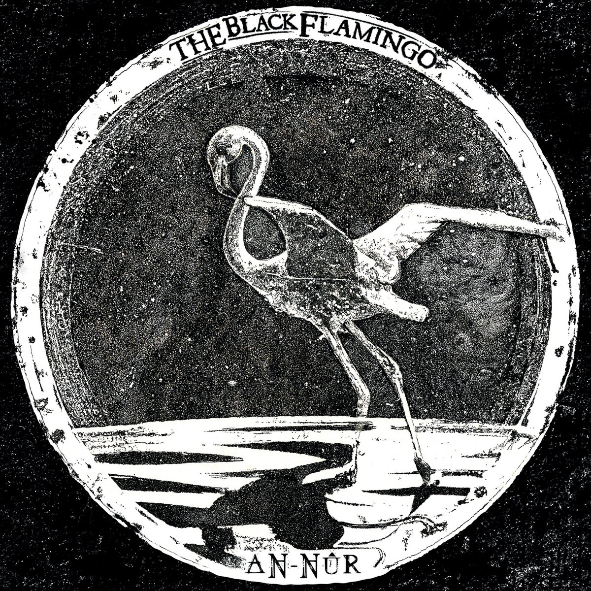 The Black Flamingo cover