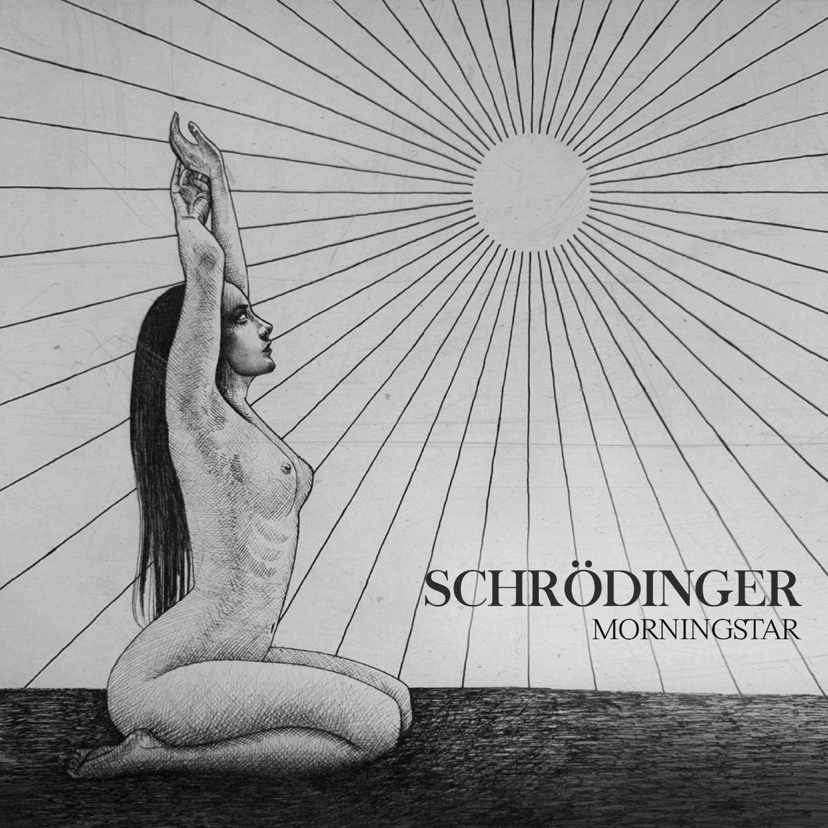 Schrodinger cover