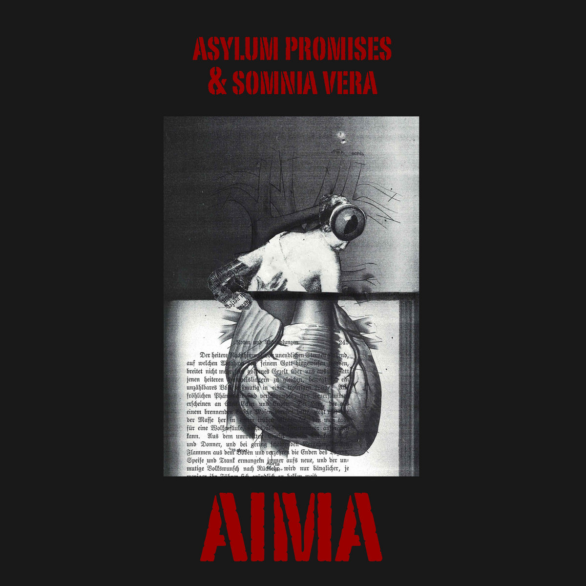 Asylum Promises cover