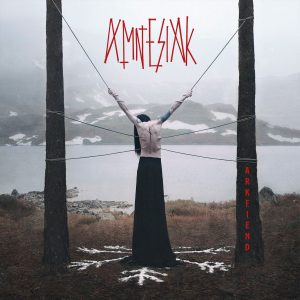 AMNESIAK cover