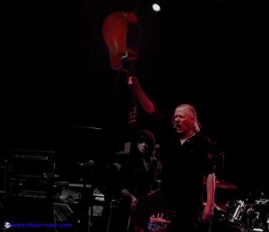 SWANS live photo