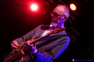 Norman Westberg of SWANS live photo