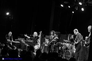 SWANS live photo