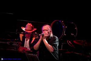 SWANS live photo