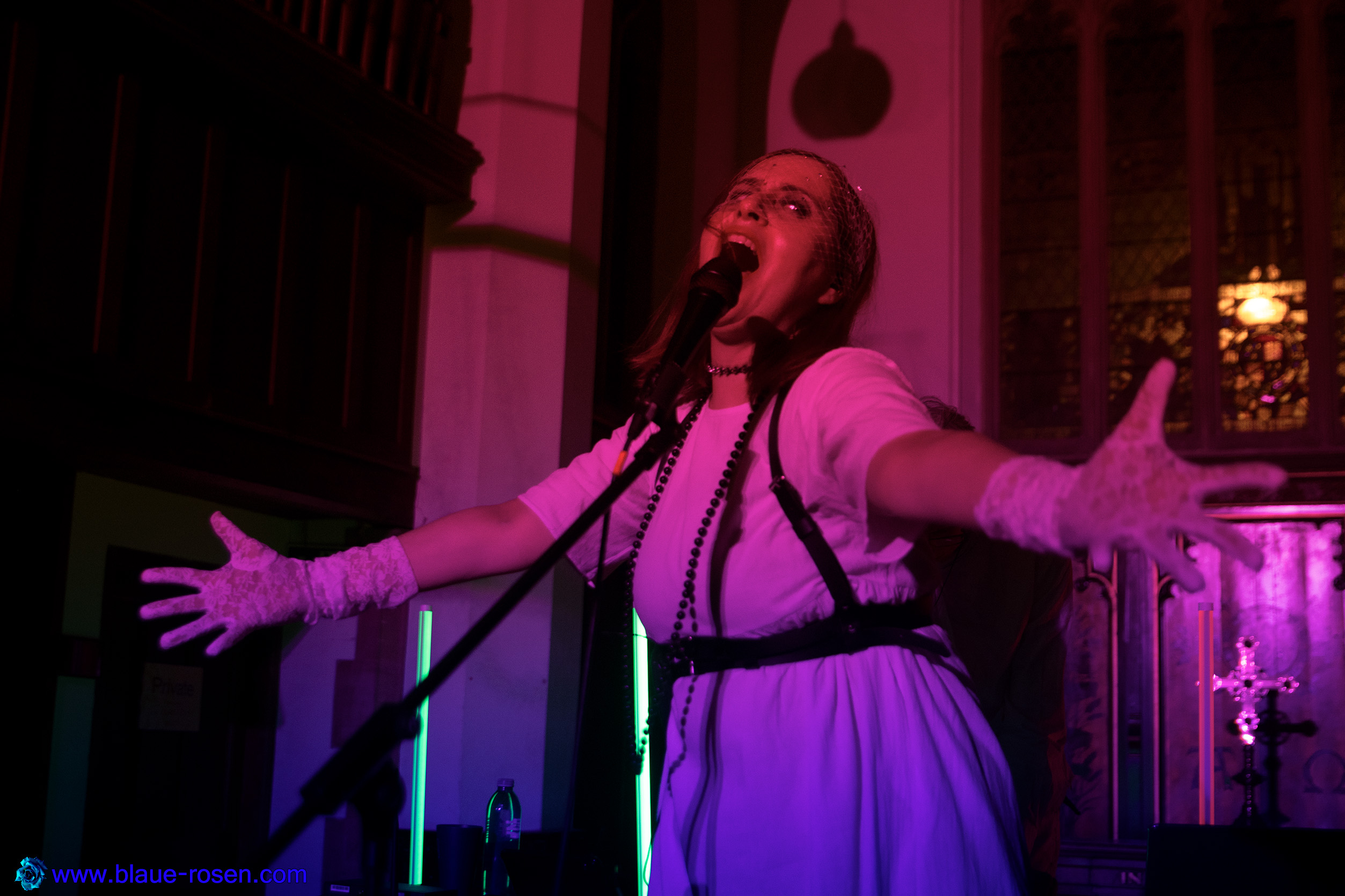 Riotmiloo live photo