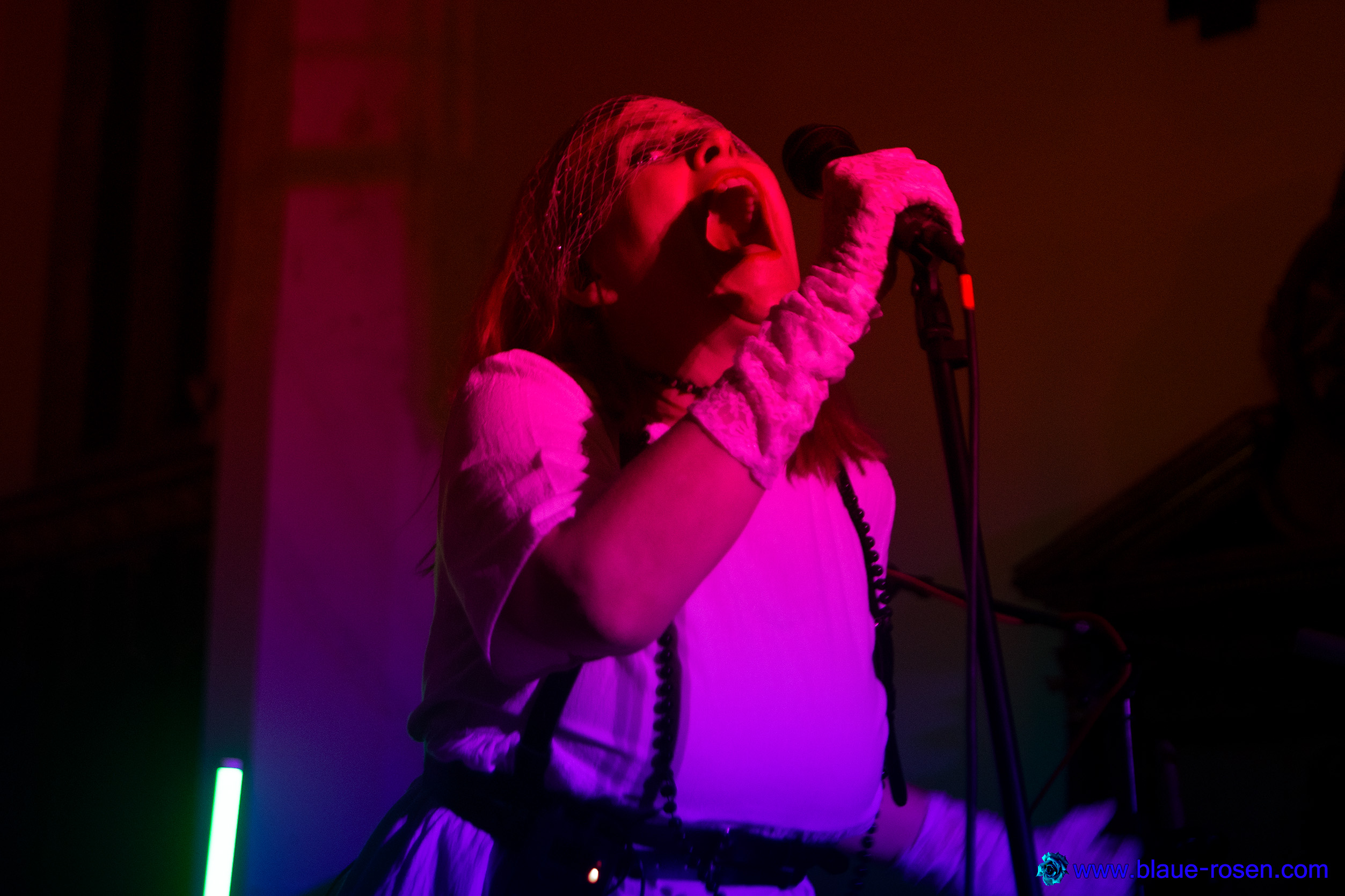 Riotmiloo live photo