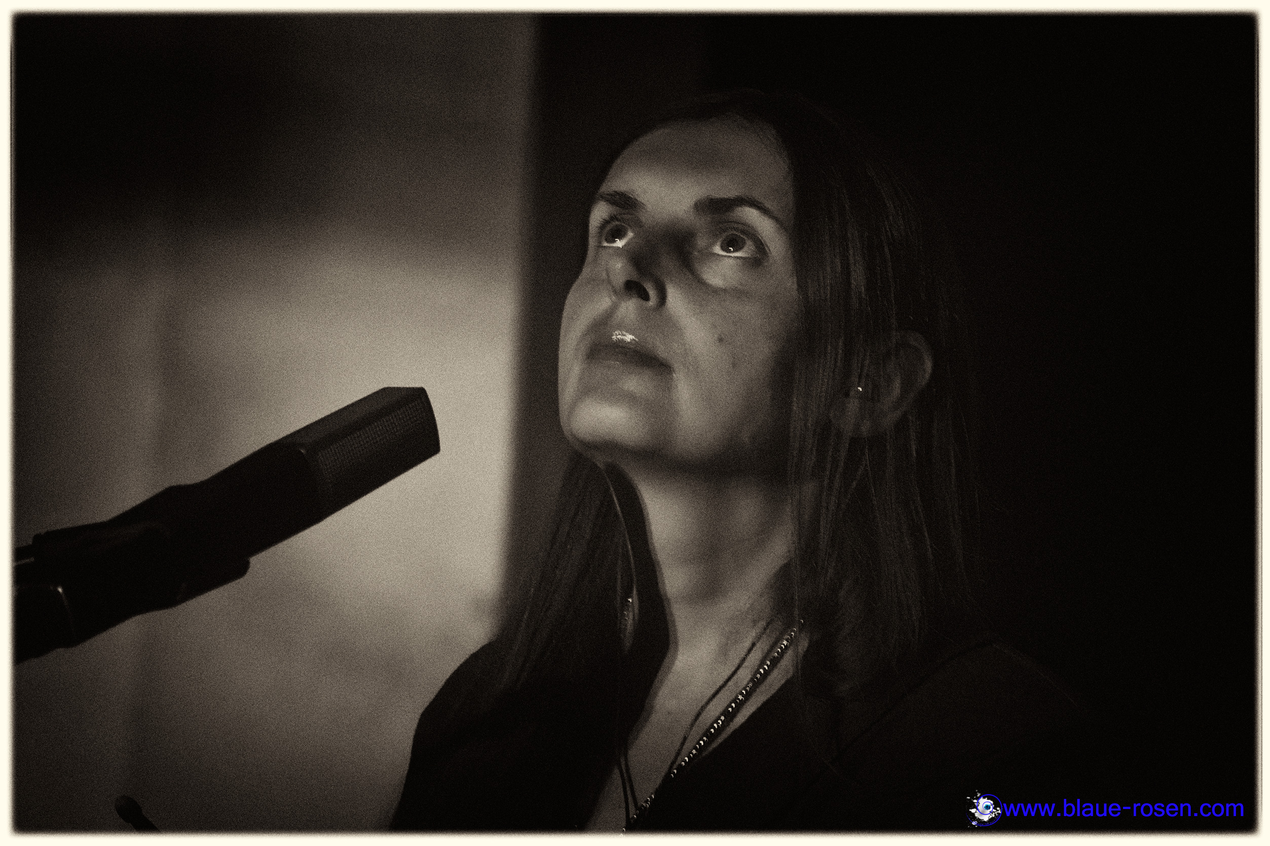 tAngerinecAt live photo