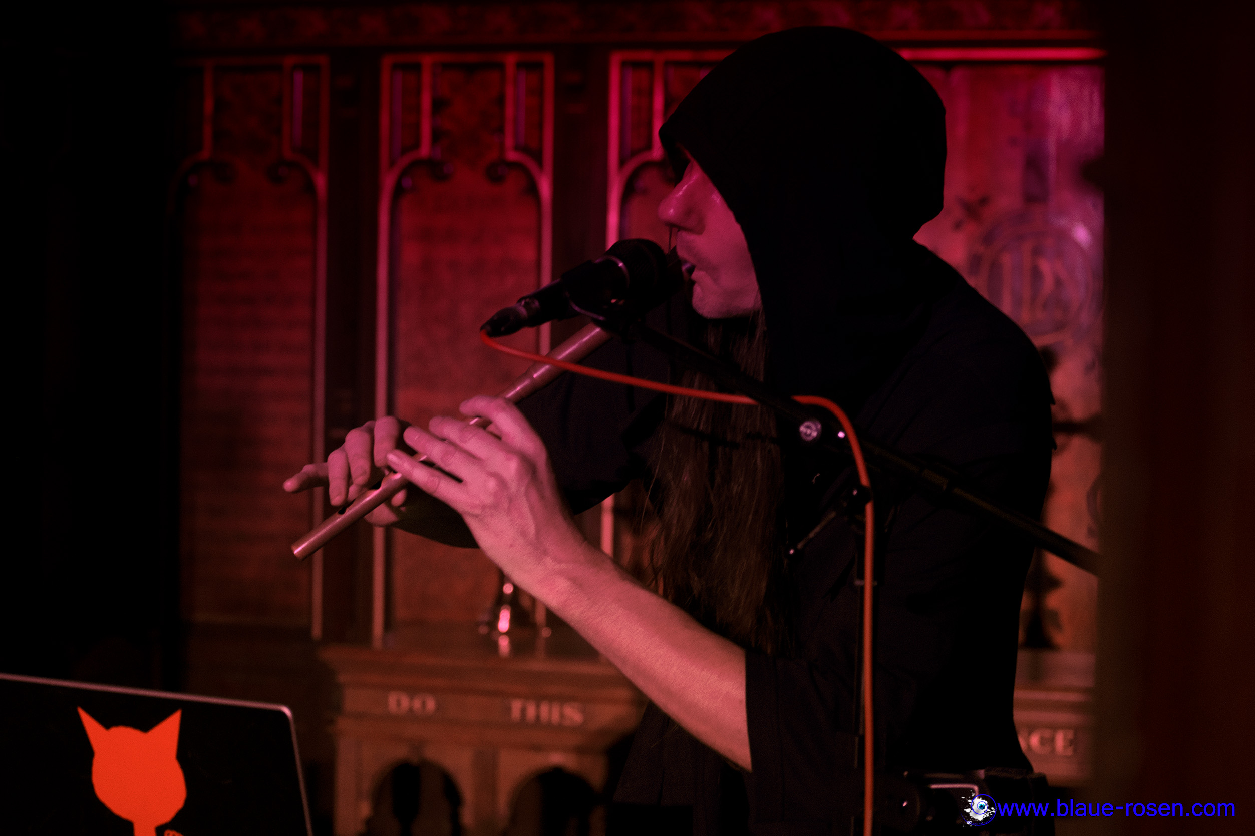 tAngerinecAt live photo